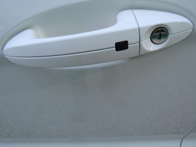 FORD EcoSport usata 19