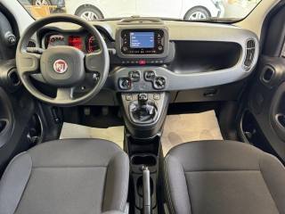 FIAT Panda usata, con Servosterzo