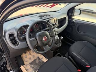 FIAT Panda usata 13