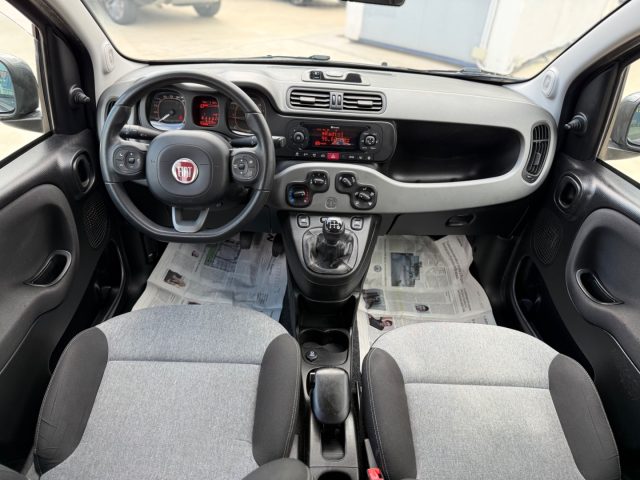 FIAT Panda usata 21
