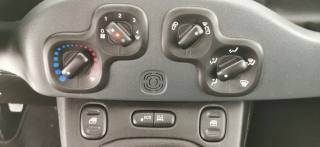 FIAT Panda usata 45