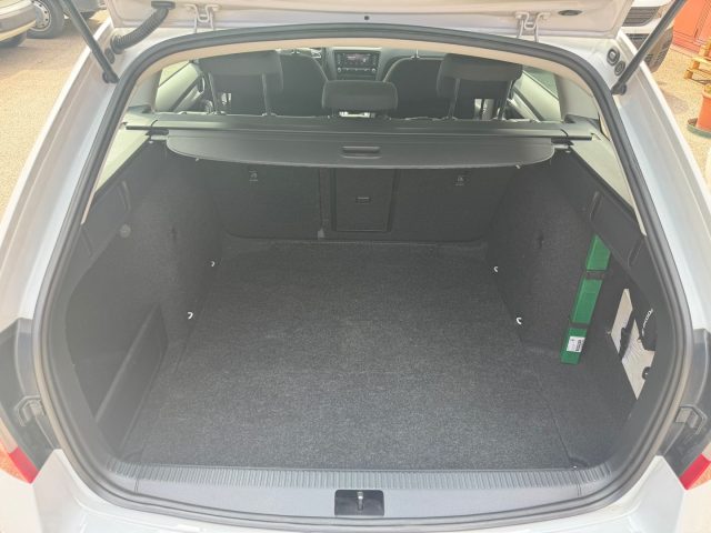 SKODA Octavia usata, con Fendinebbia