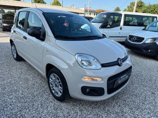 FIAT Panda usata, con Airbag Passeggero