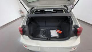 VOLKSWAGEN Polo usata, con Vetri oscurati