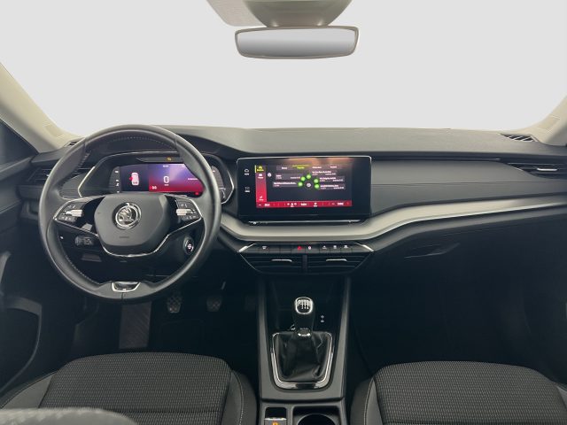 SKODA Octavia usata 10
