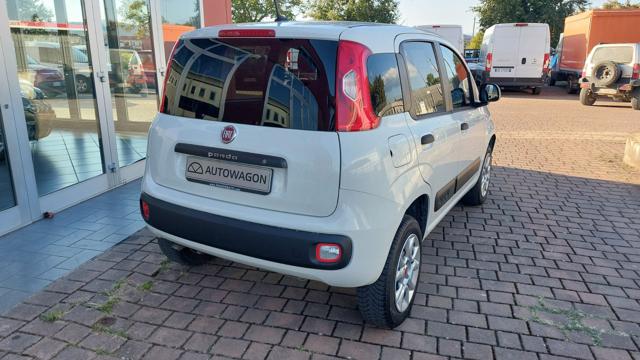 FIAT Panda usata, con Alzacristalli elettrici