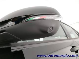 ALFA ROMEO Tonale usata, con Climatizzatore
