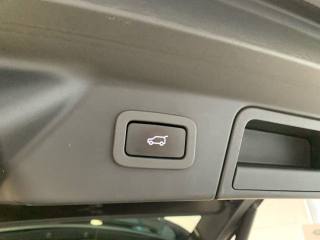 LAND ROVER Range Rover Velar usata, con Bluetooth