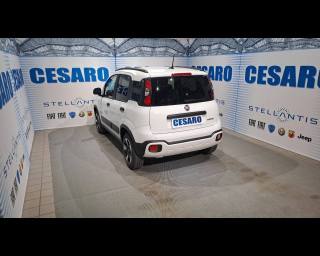 FIAT New Panda usata, con Alzacristalli elettrici