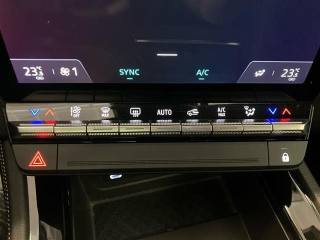 RENAULT Austral usata 23
