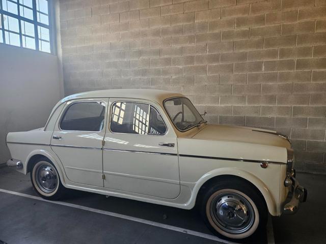 FIAT 1100 usata 3