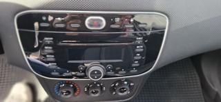 FIAT Punto usata, con Airbag testa