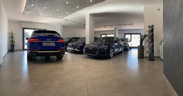 AUDI SQ5 usata, con Alzacristalli elettrici