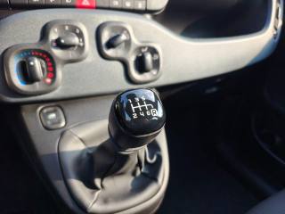 FIAT Panda usata 20
