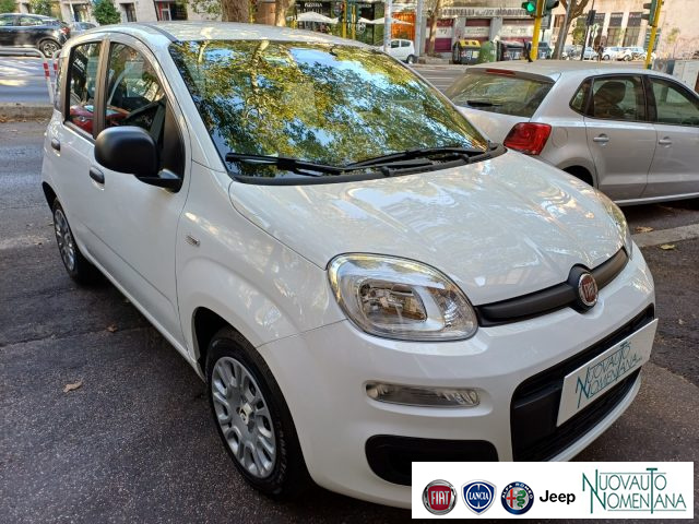 FIAT Panda usata, con Alzacristalli elettrici