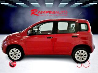 FIAT Panda usata 10