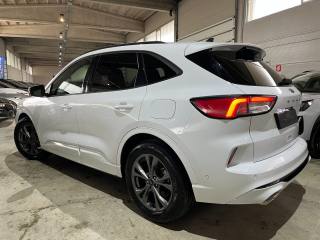 FORD Kuga usata, con Alzacristalli elettrici