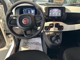 FIAT Panda usata, con Climatizzatore