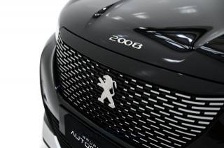 PEUGEOT 2008 usata, con USB