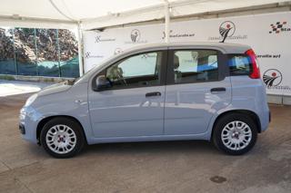 FIAT Panda usata, con Airbag Passeggero