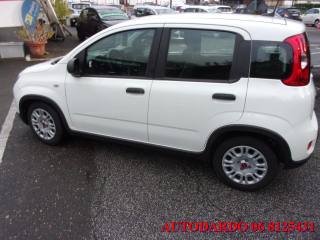 FIAT Panda usata, con Controllo trazione