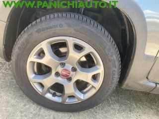 FIAT Panda Cross usata, con Climatizzatore
