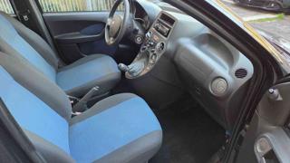 FIAT Panda usata, con Controllo automatico clima