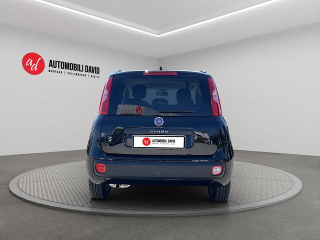 FIAT Panda usata, con Antifurto