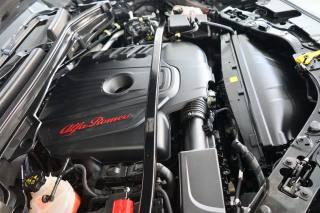 ALFA ROMEO Stelvio usata 59