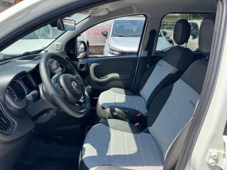FIAT Panda usata, con Controllo automatico clima