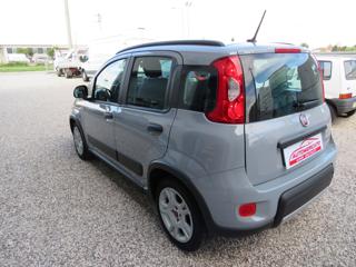 FIAT Panda usata, con Climatizzatore