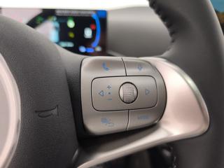 BYD Dolphin Surf usata, con Servosterzo