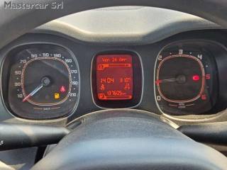 FIAT Panda usata 13