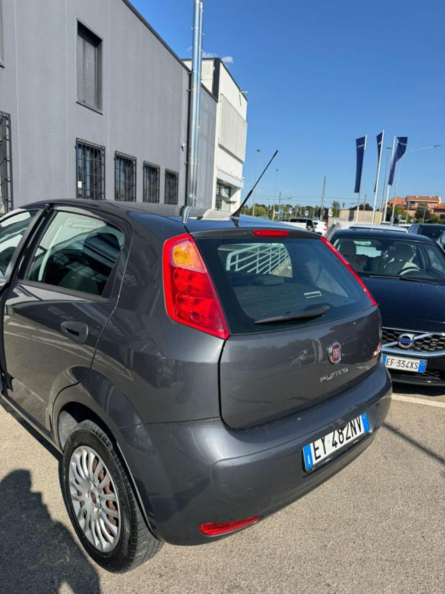 FIAT Punto usata, con Servosterzo