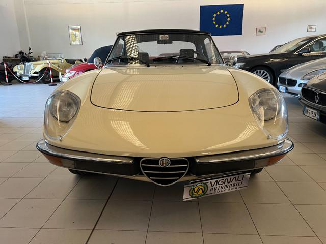 ALFA ROMEO Spider usata 1