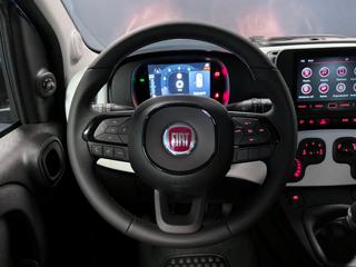 FIAT Panda usata, con Controllo trazione