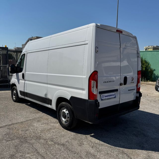 FIAT usata 3