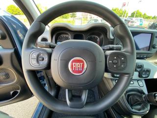 FIAT Panda Cross usata, con Climatizzatore