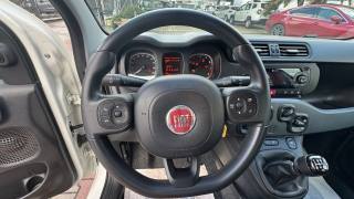 FIAT New Panda usata, con Controllo trazione