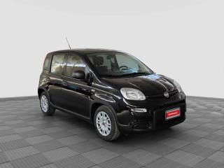 FIAT Panda usata 6