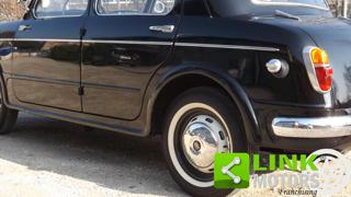 FIAT 1100 usata 54