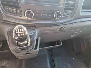 FORD Transit usata 12