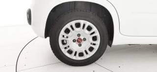 FIAT Panda usata 16