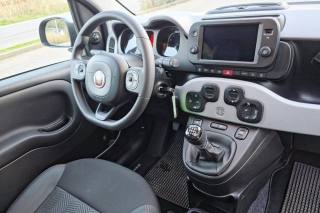 FIAT Panda Cross usata, con Controllo automatico clima
