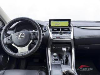 LEXUS NX 300h usata 14