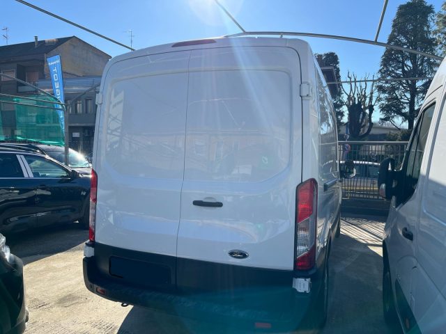 FORD Transit usata, con Fendinebbia