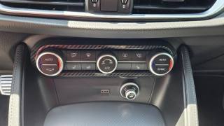 ALFA ROMEO Stelvio usata, con Vetri oscurati