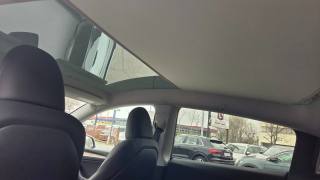 TESLA Model Y usata, con Regolazione elettrica sedili