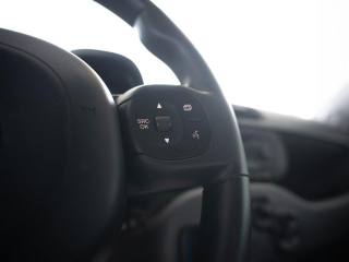 FIAT Panda usata, con Volante multifunzione