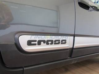 FIAT Panda Cross usata, con Portapacchi